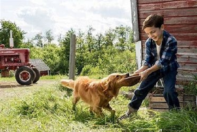 空巢青年越来越多,空巢青年人口