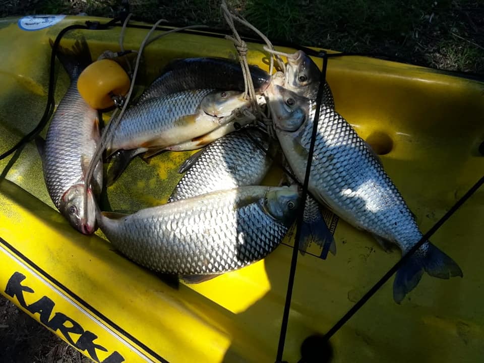 这才是最真实的国外钓鱼人,别崇洋媚外了,原来我们都被骗了