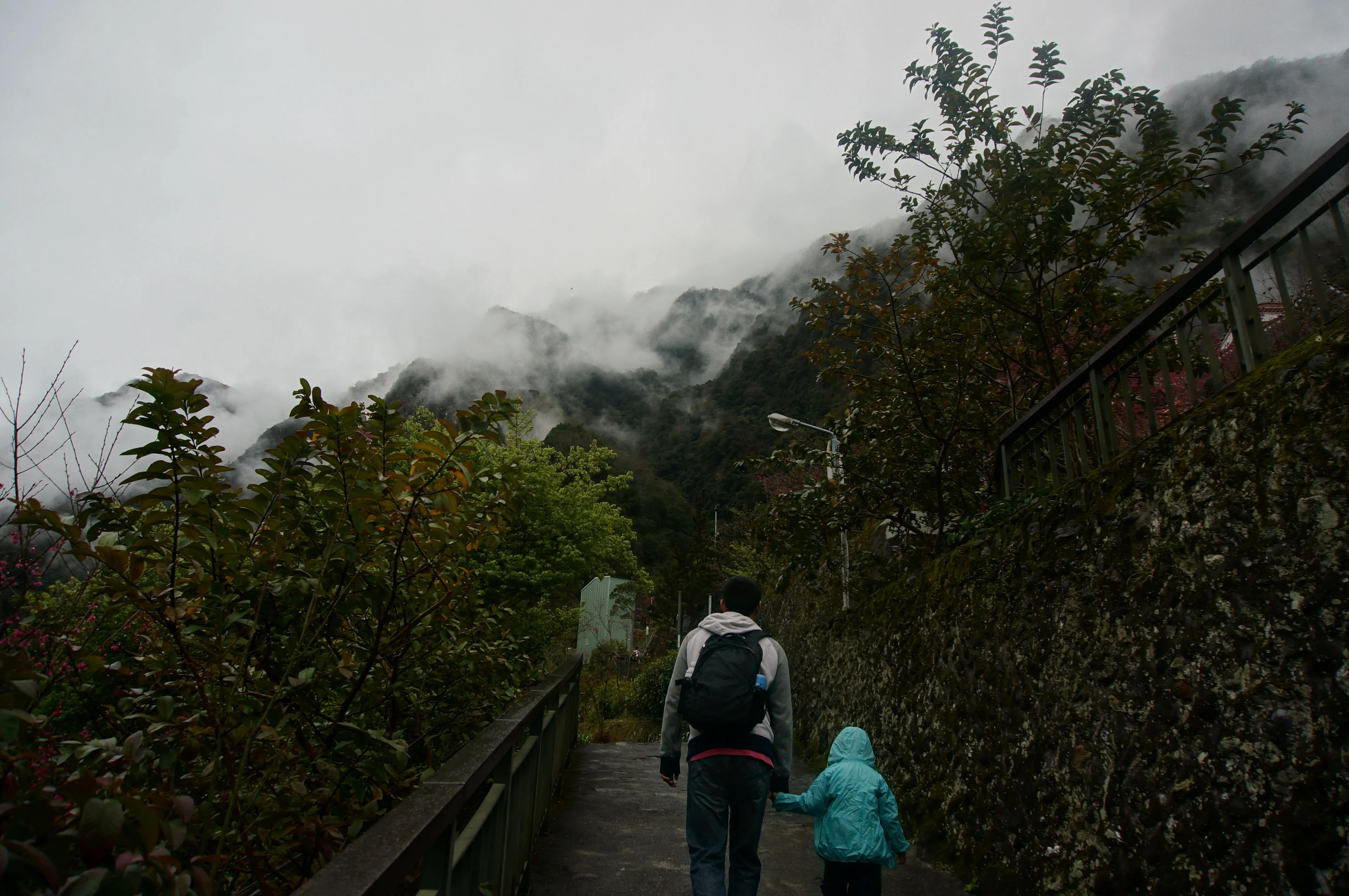 台湾太鲁阁公园,台湾太鲁阁峡谷风景区攻略