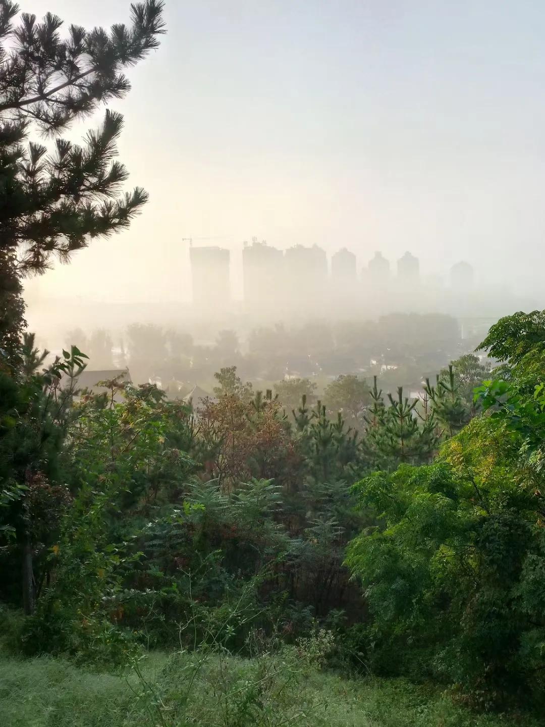 成熟是什么呀,成熟是一种什么味道