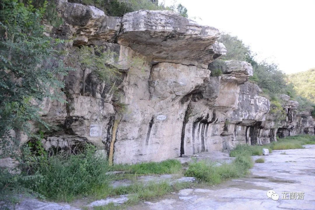 璞珷涔﹂櫌,涔﹂櫌淇濆畾