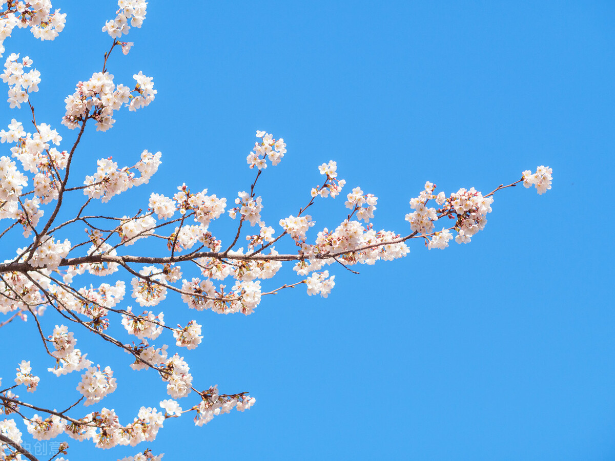 吴曦加盟上海申花多少钱,吴曦第一次加盟申花
