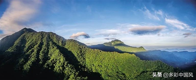 海南天然氧吧舒适景点,海南岛热带天然森林