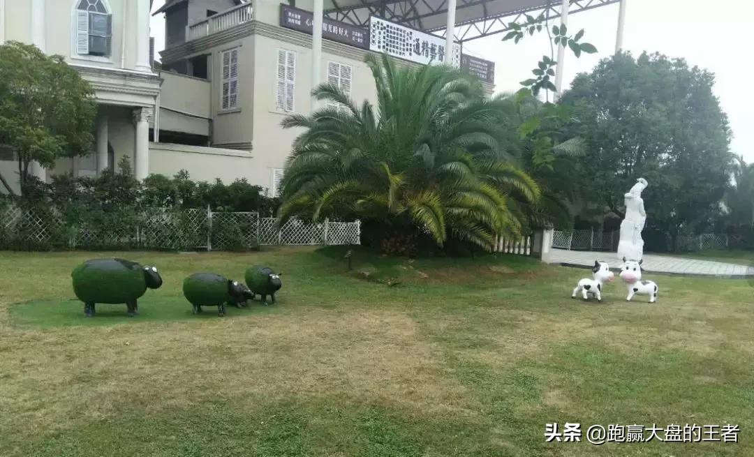 最诡异的指数上涨,诡异增高后续