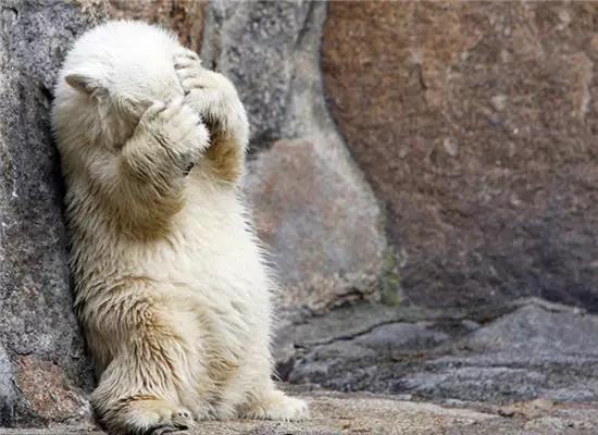 在泰国100块能买什么,泰国钱币100能换多少人民币