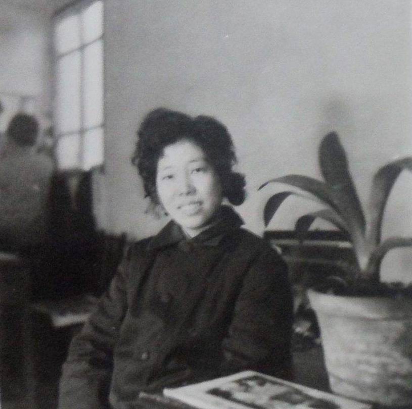 东北君子兰炒作事件,八十年代炒作君子兰