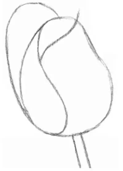 鐜懓绱犳弿鏁欑▼,绱犳弿鐜懓鐢绘硶鏁欑▼