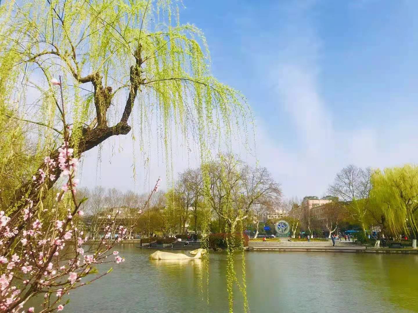 二年级下册第一单元教材分析,统编二年级下册第三单元整体教学