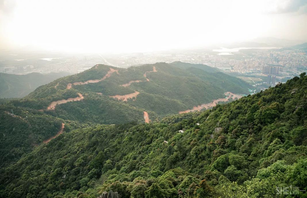 鍘夊浜嗘垜鐨勫ぇ瑗垮畨,鍘夊浜嗘垜鐨勫ぇ鑸熷北