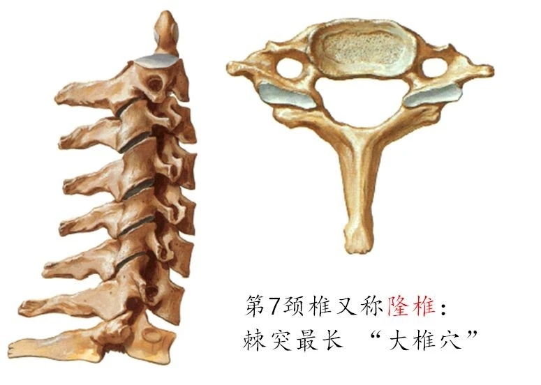 颈椎腰椎疾病ct及mri诊断,腰椎ct可以发现肠部病变吗