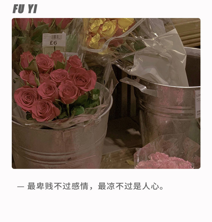 爱情怎么保鲜才能持久,爱情怎么样才能持久