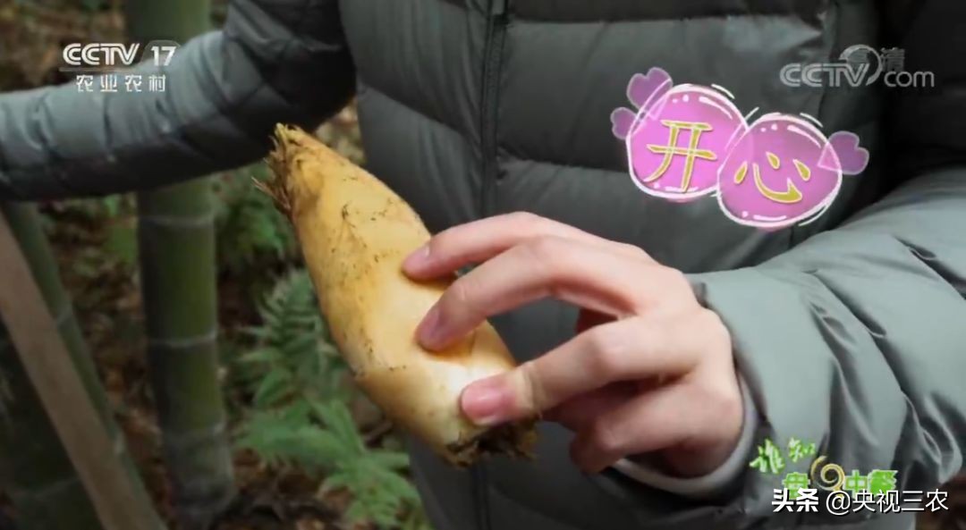 五星级大厨教你冬笋怎么没有涩味,冬笋去除涩味凉水下锅还是开水