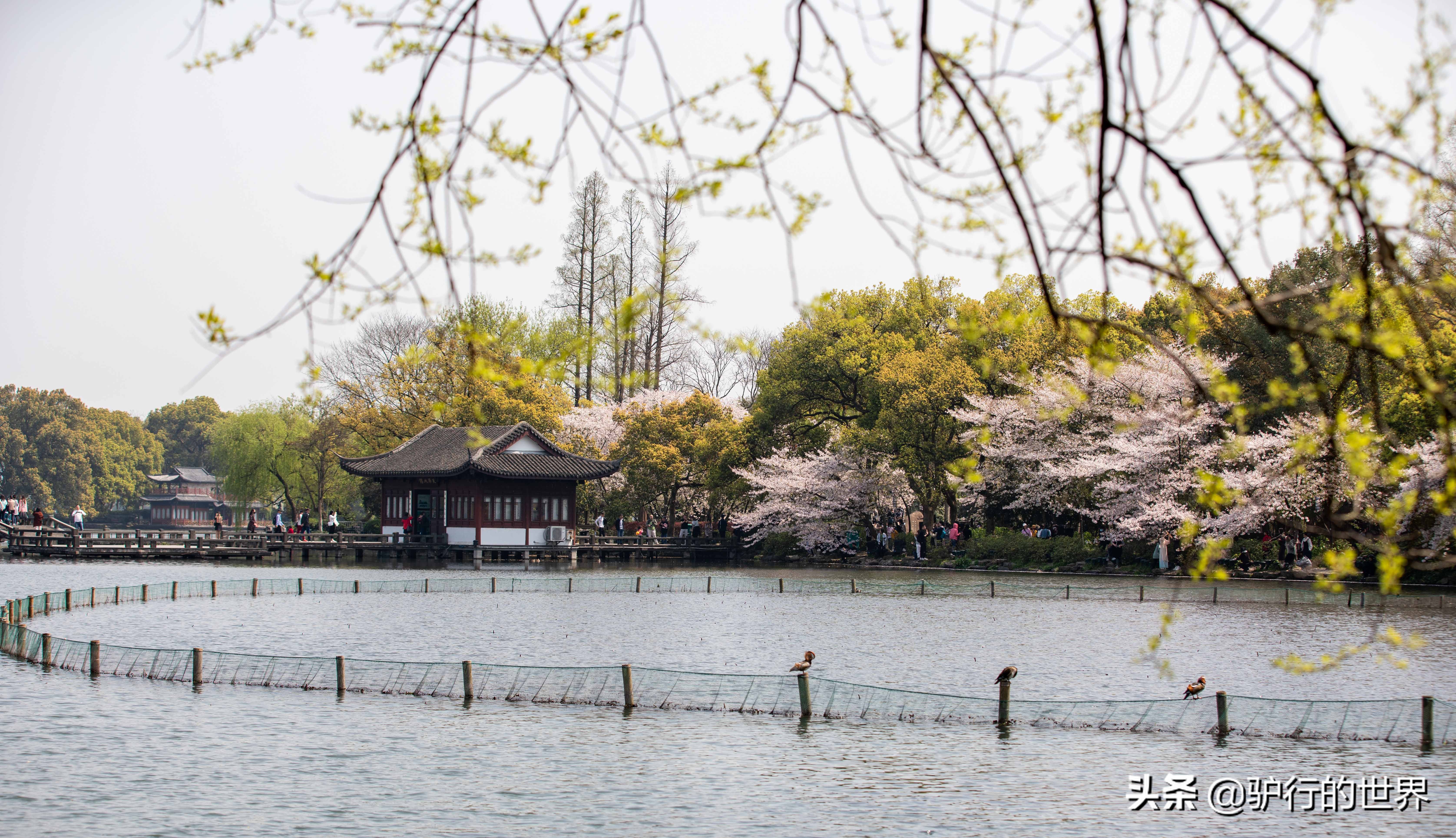 杭州西湖收费景点有哪些,杭州西湖景点的英文介绍