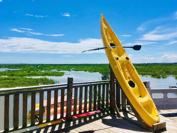 广西防城港这个小城市怎样,防城港最厉害的村