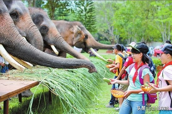 从昆明自驾去西双版纳，沿途你要如何规划线路，会经过哪些地方