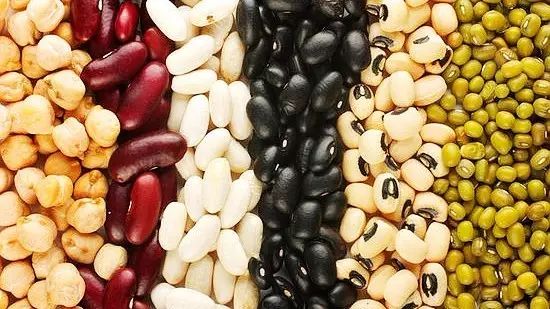 狗狗鼻子突然有一块变白了,狗狗鼻子发干不吃东西怎么办