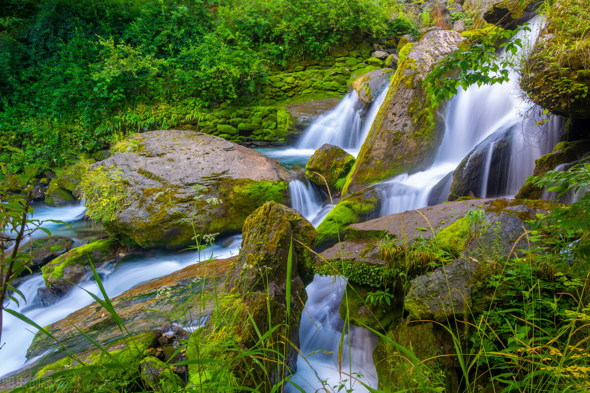 神农架攻略,神农架宰客