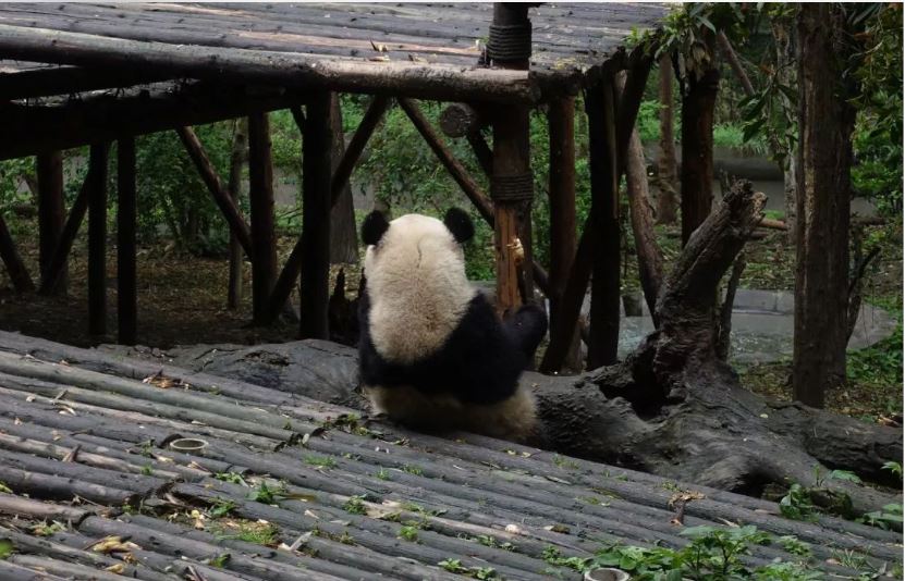 中国门票最贵的十大景区,中国最亏钱景点