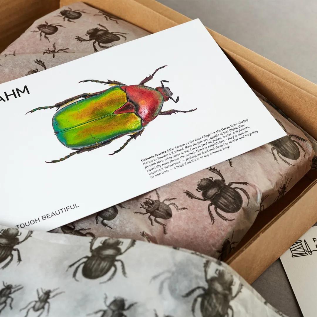 获得奥斯卡奖的中国作品,国际包装设计大奖