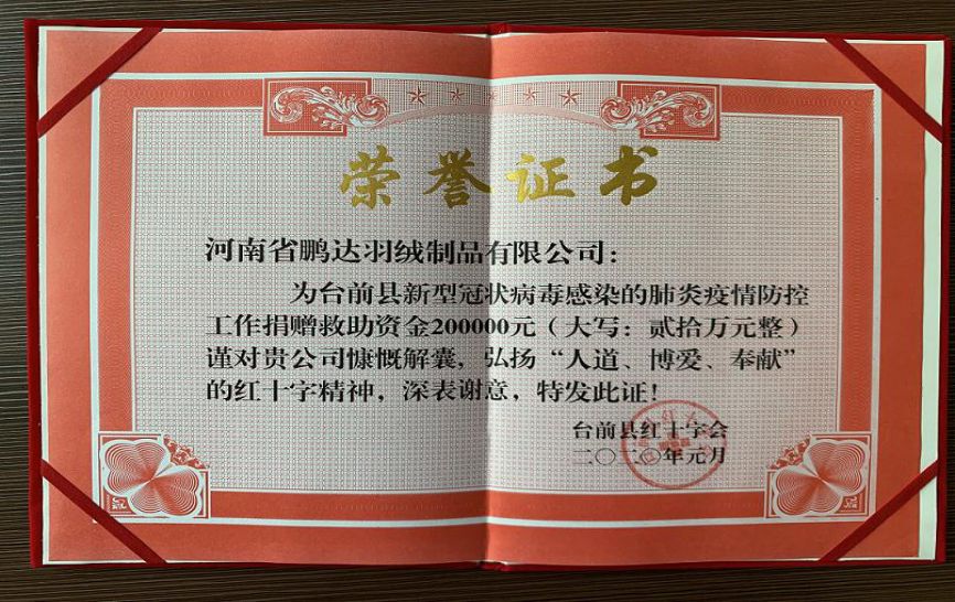 众志成城抗疫情心怀感恩敬先锋,心怀大爱抗击疫情