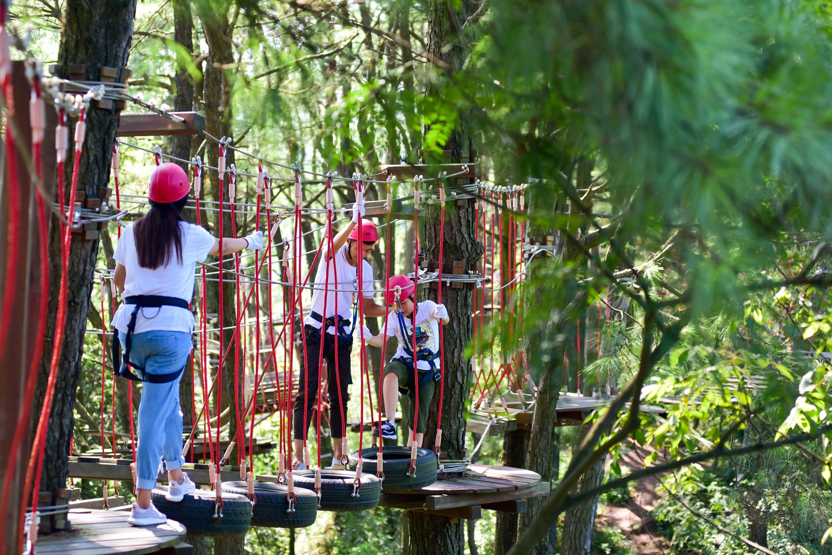 印度疫情最新真实状况,印度疫情真实记录