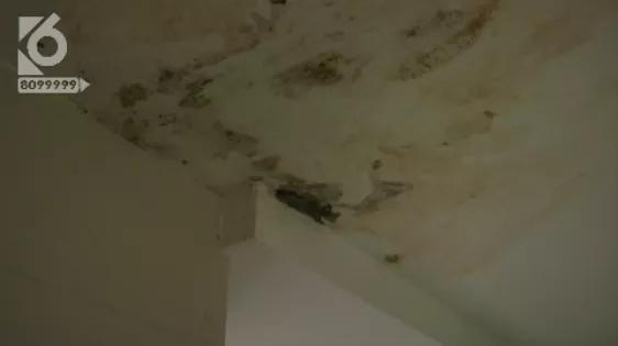 电源开关冒水怎么回事,电源开关进水了