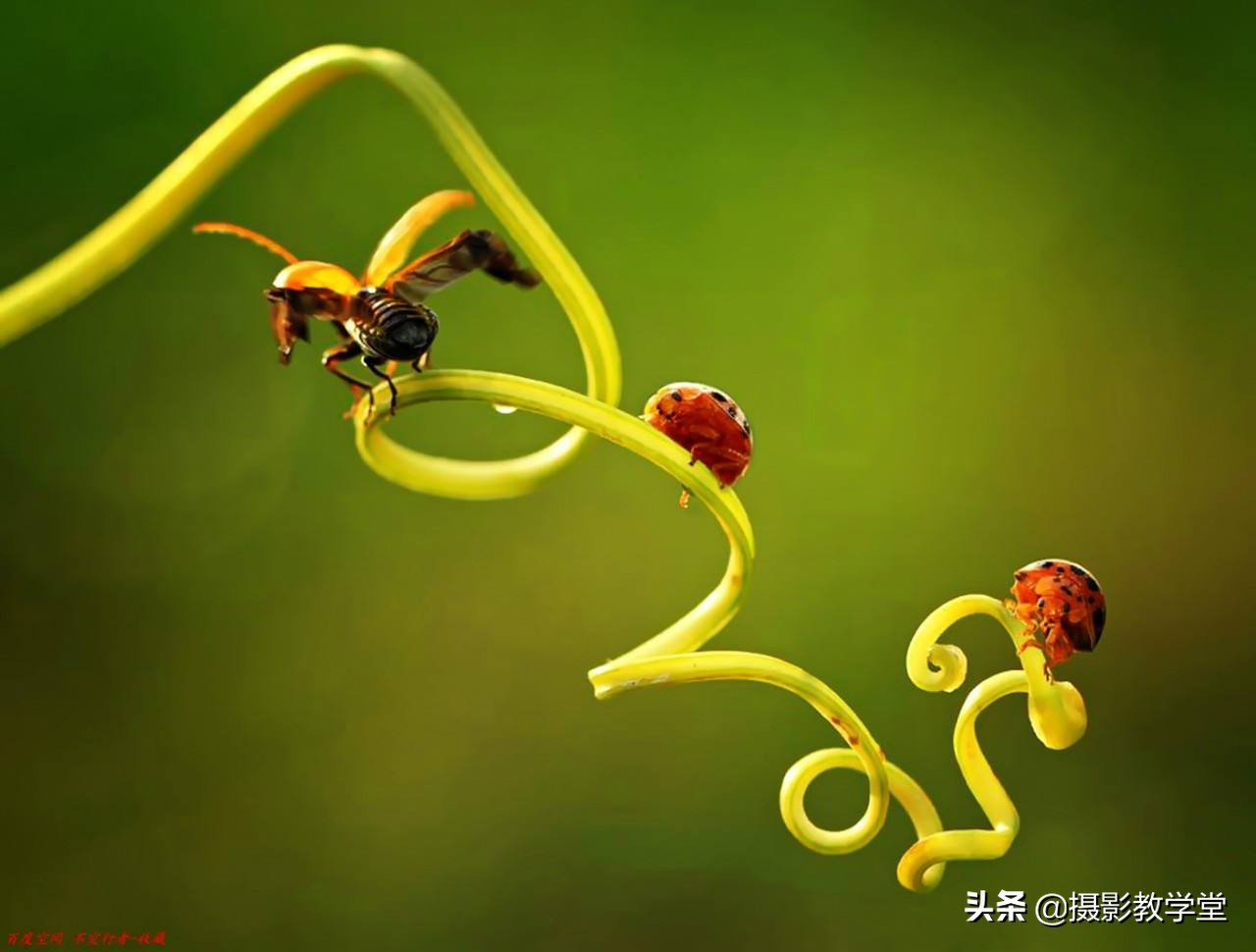 如何多拍几张照片,想要拍出好看的照片要怎么拍