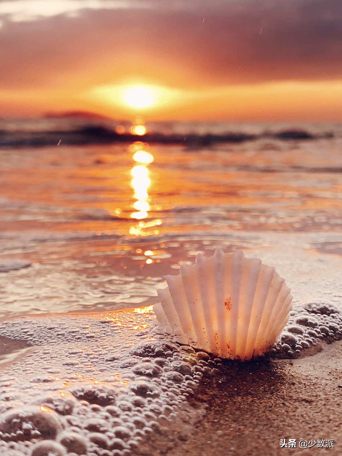 新手如何学会用苹果手机拍好照片,如何拍100张照片苹果