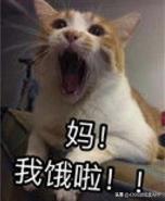 steam春季大促模拟器类游戏,steam最新上线的模拟器游戏