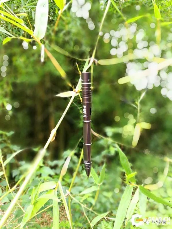 一举未必三得——务本TP10战术笔入手体验