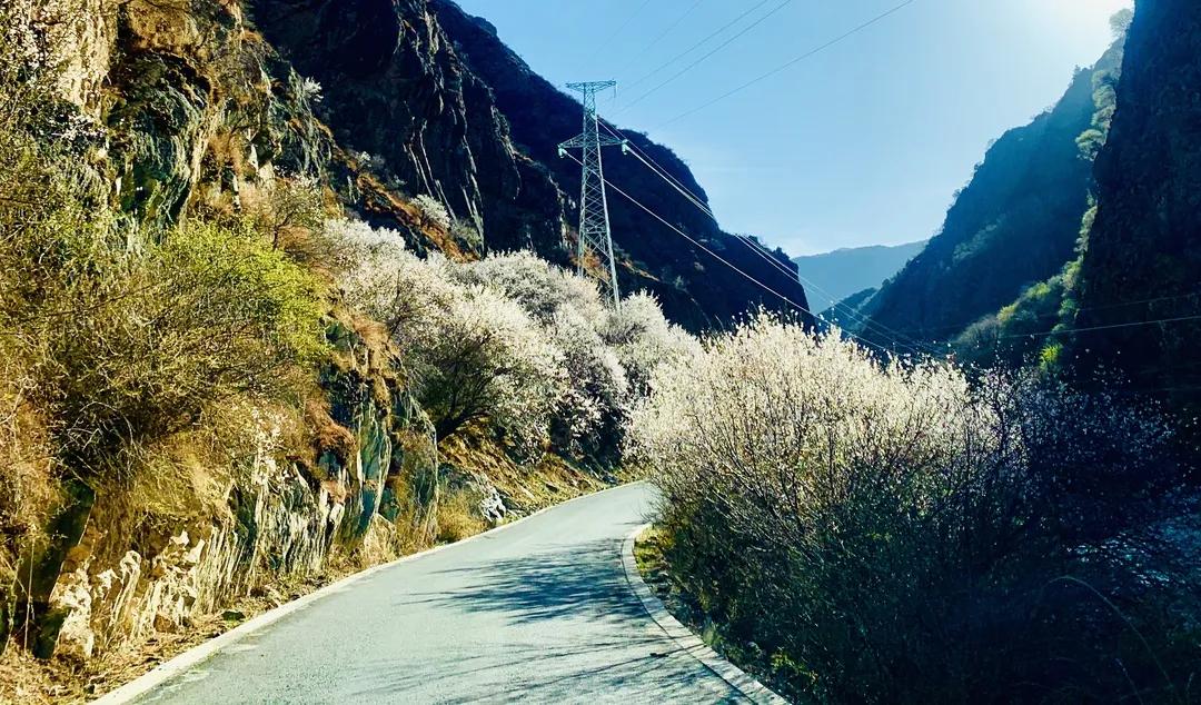 巴塘到八宿自驾游攻略,巴塘至八宿建议在哪夜宿