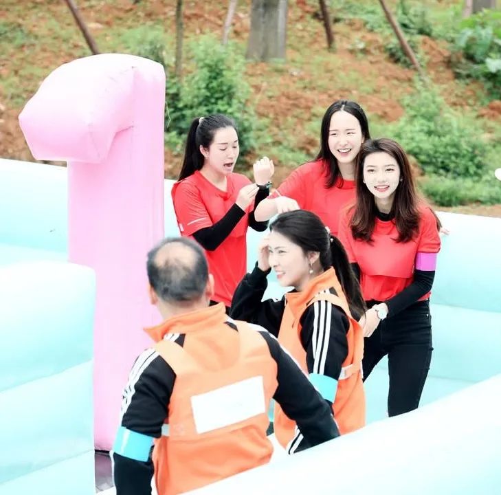 空港花田现场版,空港花田今天视频