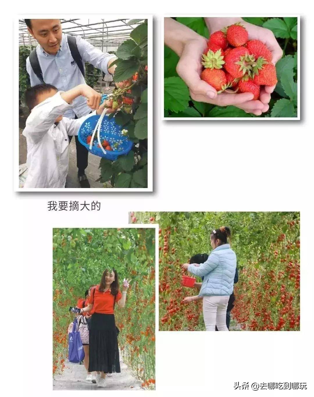 69.9抢惠州罗浮山漂流门票89元抢漂流门票+空中田园