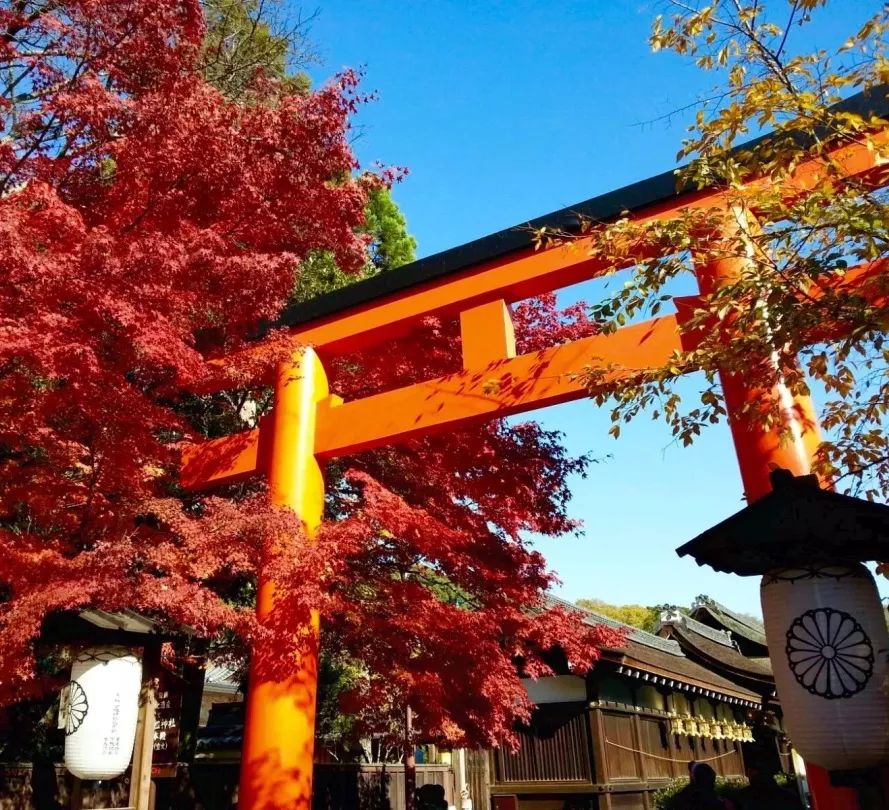 寻找幸运锦鲤活动在哪,寻找锦鲤