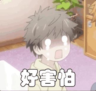 有哪些比较好的旅行箱,好看又实用的旅行箱