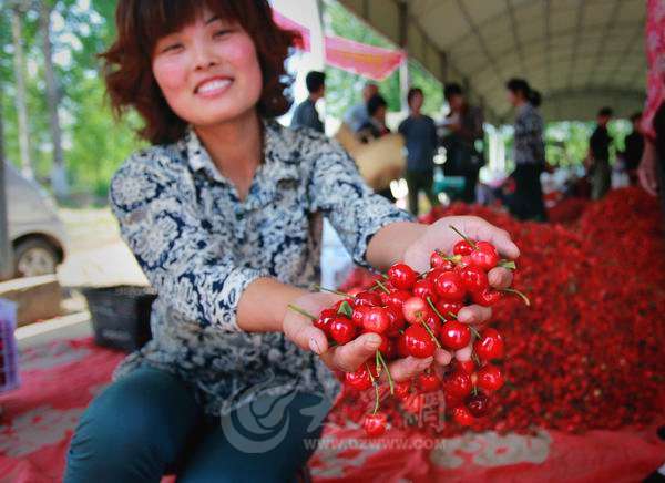价格“三连跌”，比进口便宜3倍，却卖不过进口，网友：人傻钱多
