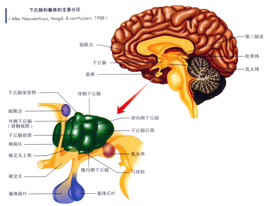 心理学的生物学基础知识,生物心理学知识书籍