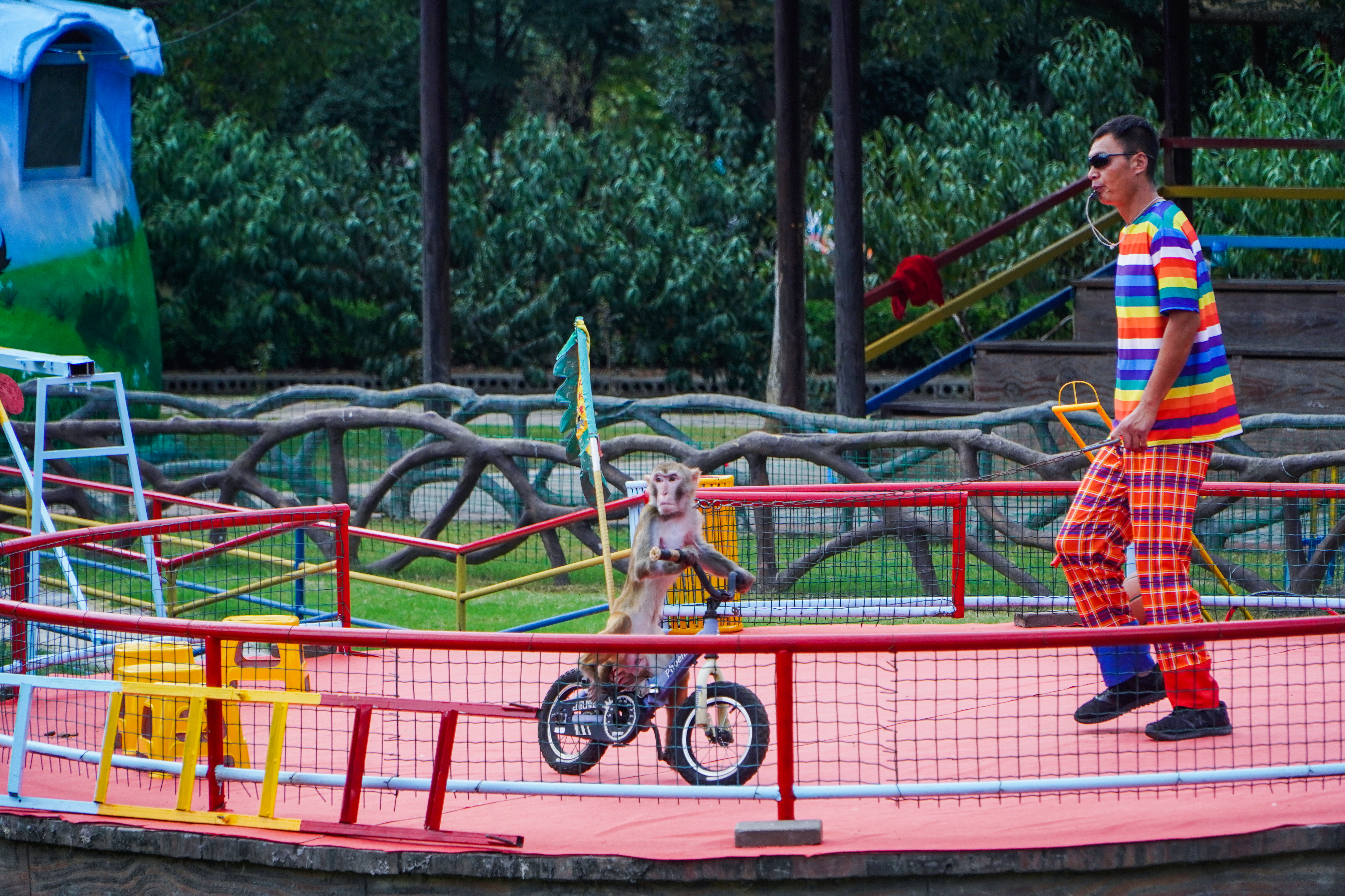安吉田园嘉乐比乐园一日游攻略,秋季安吉旅游攻略图文并茂
