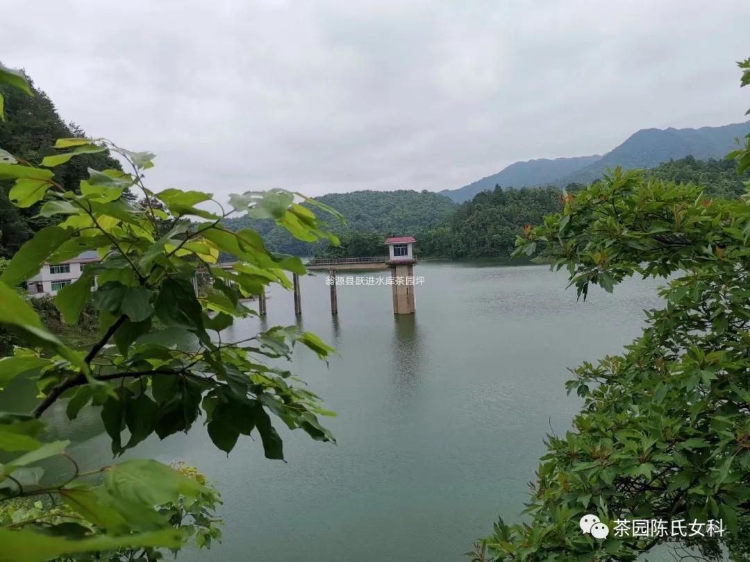 火针的应用范围,中医火针应用