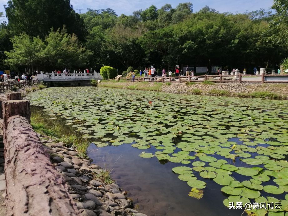 深圳凤凰山公园一日游攻略,五一深圳凤凰山森林公园打卡攻略