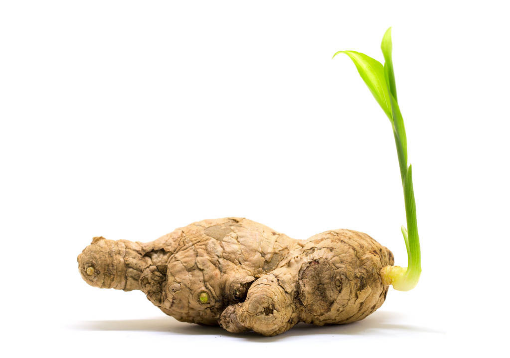 了解一种农作物的种植时间过程,种植各种农作物管理方法