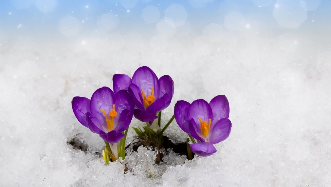 给青年教师的36条成长建议读后感,读书给教师的建议