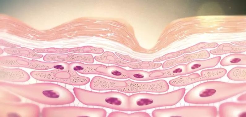 山口百惠买菜的视频,山口百惠晚年变大妈