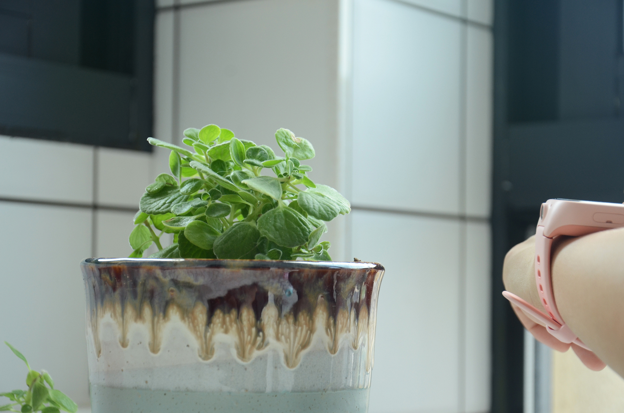 小米首款智能面板评测,小米家用智能屏推荐测评