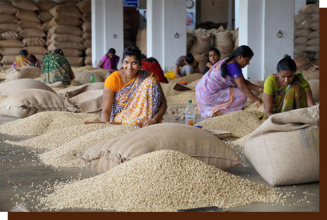 如何点一杯咖啡显得专业,如何点一杯美式咖啡