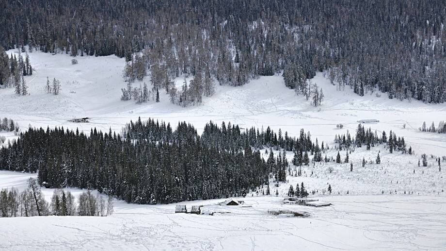 土匪那些事,土匪那些事儿