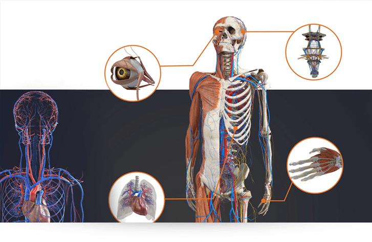 虚拟偶像，死而复生。赛博空间里「人」的边界到底在哪