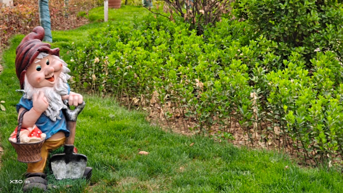 陕州区骏景德园小区环境,陕州区骏景花园