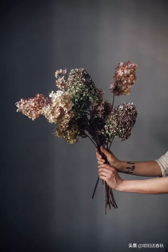 如何制作干花使其可以永久保存,如何制作干花书签