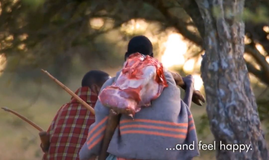 非洲马赛人：从狮口夺食的“战斗民族”